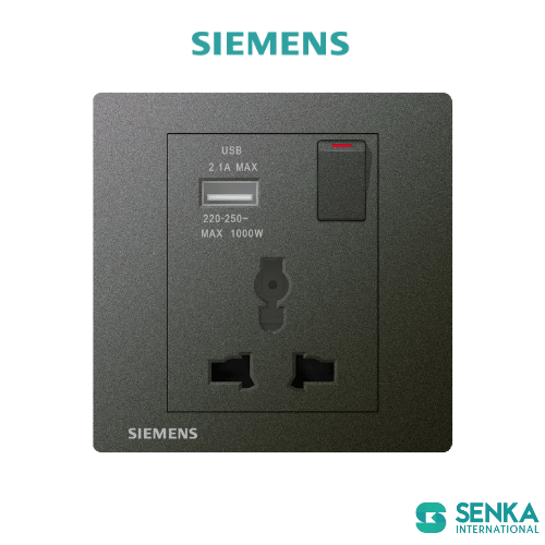 Ổ cắm đa năng 13A( international)+ usb+ công tắc Relfa Siemens