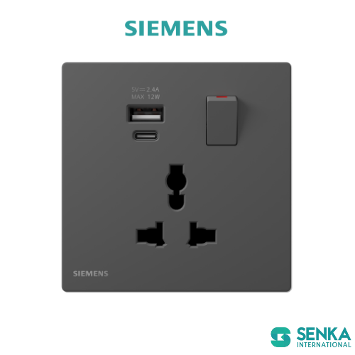 Ổ cắm đa năng có công tắc, tích hợp cổng Type A và Type C, dòng ra 2.4A Peleus Siemens